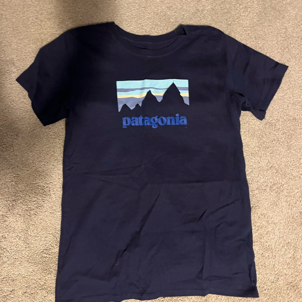 Patagonia Navy Blue Graphic Logo Short Sleeve Tee - Picture 1 of 3